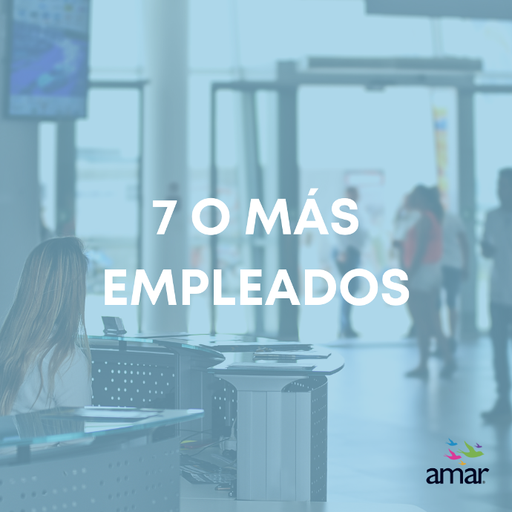 Miembro Empresarial 7 o más empleados