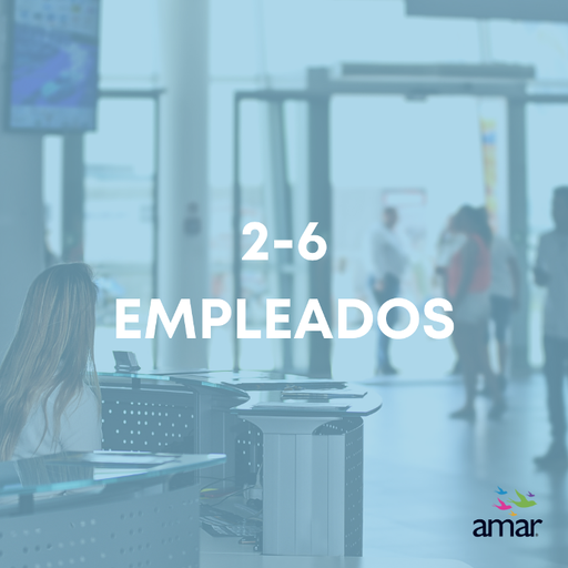 Miembro Empresarial 2 - 6 empleados